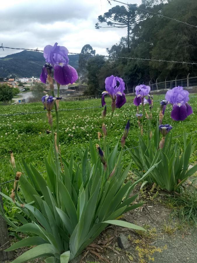 Chales Manaca Da Serra Urubici Exteriér fotografie